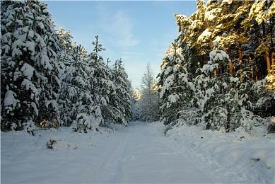 《匹诺曹的谎言》新预告探索人偶崛起＆克拉特陨落
