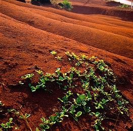《天国：拯救2》参加慈善拍卖会 可获得典藏版游戏